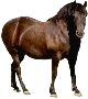 Beautiful Animals Clipart 98