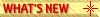 Web Designing, Buttons 159