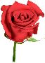 Beautiful Flowers Clipart 32