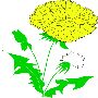 Beautiful Flowers Clipart 37