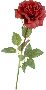 Beautiful Flowers Clipart 39