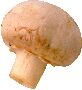 Foods Clipart 100