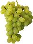 Foods Clipart 79
