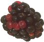 Foods Clipart 83