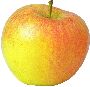 Foods Clipart 87