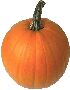 Foods Clipart 97