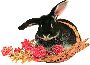 Holidays Clipart 7