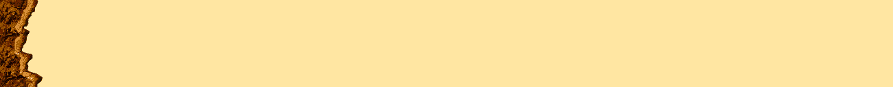 Web Designing, Bars & Lines 17