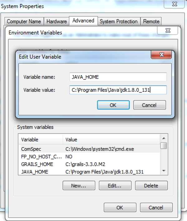 Set Environment Variable