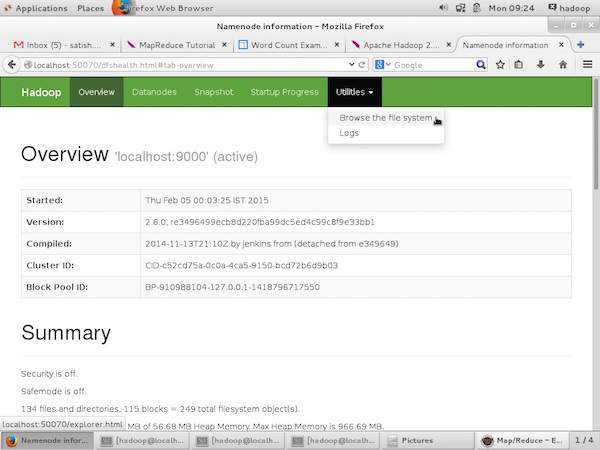HDFS Monitoring