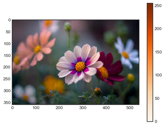Matplolib Image