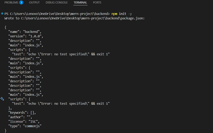 npm init command