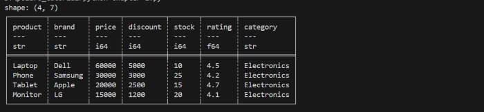 Polars DataFrame example