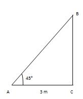 Height & Distance Solution 11
