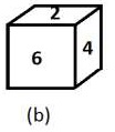 82 b Option