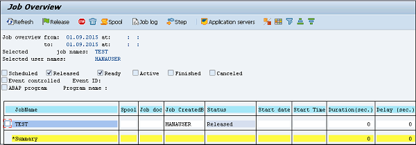 Job Overview