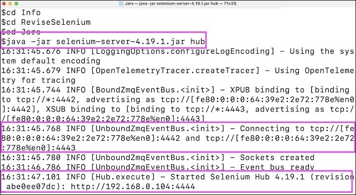 Selenium Grid Test Execution 2