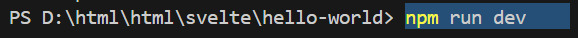 npm run dev