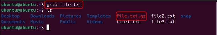 Basic Compression in gzip Command