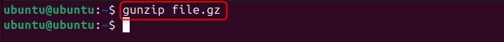 Basic Decompression of gunzip command