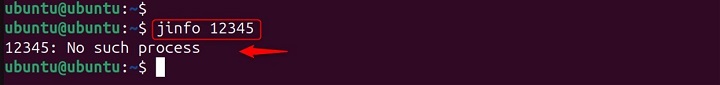 Basic Usage of jinfo Command