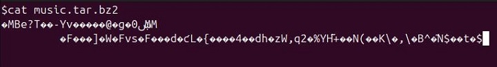 bzip2 Command in Linux11