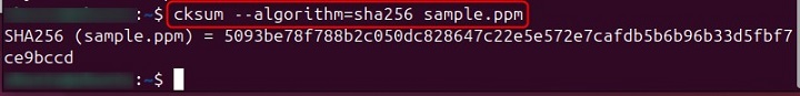 Calculate Algorithm Checksum for a File