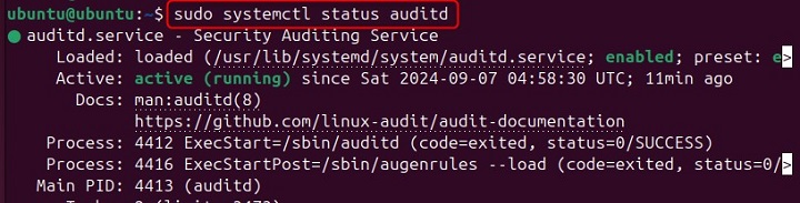 Check The Status of The audit Daemon