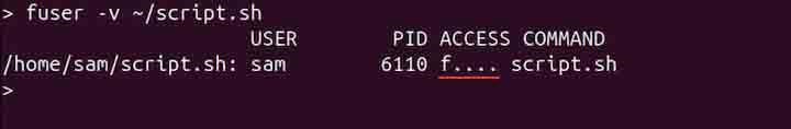 Displaying Processes of Specific File fuser