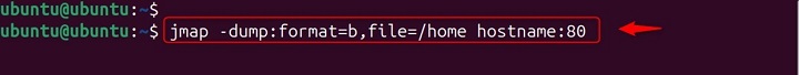 Dumping Heap for a Remote Server Process