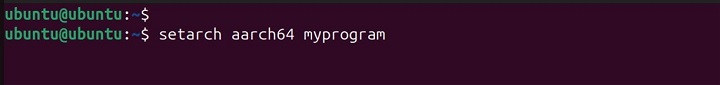 Emulating an AArch64 Architecture