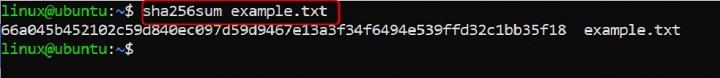 Generating SHA-256 Hash for a File Using sha