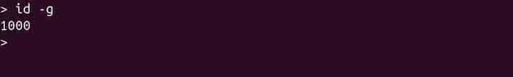 id Command in Linux4