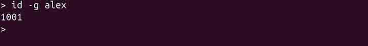 id Command in Linux5