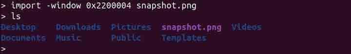 import Command in Linux8