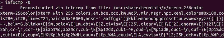 infocmp Command in Linux6
