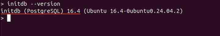 initdb Command in Linux8