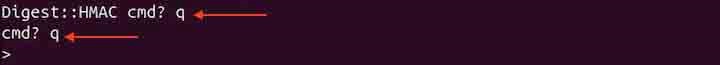 instmodsh Command in Linux10