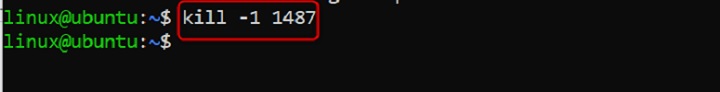 kill Command in Linux4
