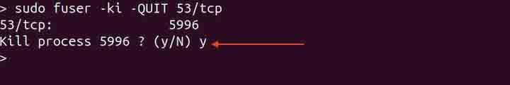 Kill Process Using QUIT signal fuser Command