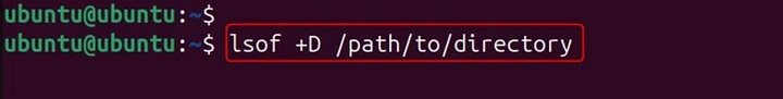 lsof Command in Linux9