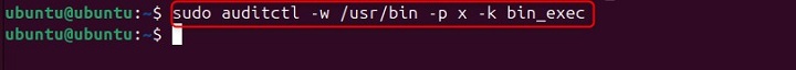 Monitoring a Directory for Executions