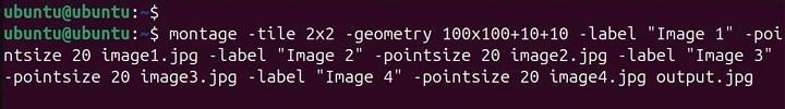 montage Command in Linux11