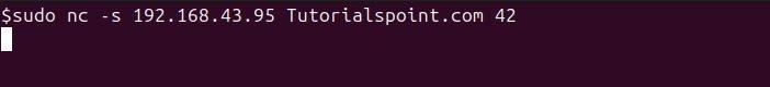nc Command in Linux11