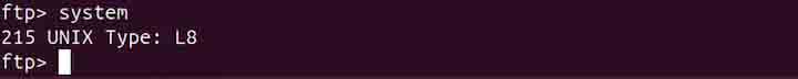 pftp Command in Linux8