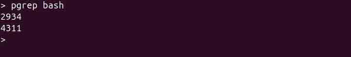 pgrep Command in Linux1
