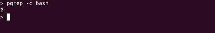 pgrep Command in Linux12