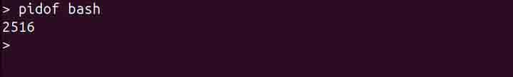 pidof Command in Linux1