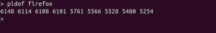 pidof Command in Linux2