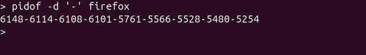 pidof Command in Linux3